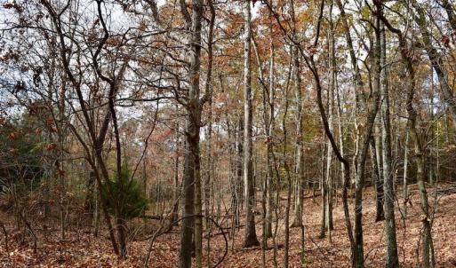 Photo of UNDER CONTRACT!  40 Acres of Recreational and Residential Land for Sale in Botetourt County VA!