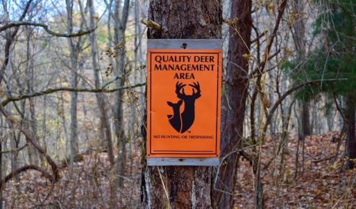Photo of UNDER CONTRACT!  40 Acres of Recreational and Residential Land for Sale in Botetourt County VA!