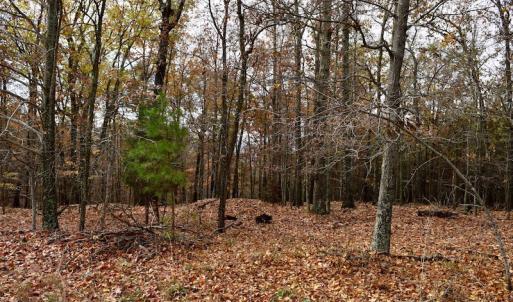 Photo of UNDER CONTRACT!  40 Acres of Recreational and Residential Land for Sale in Botetourt County VA!