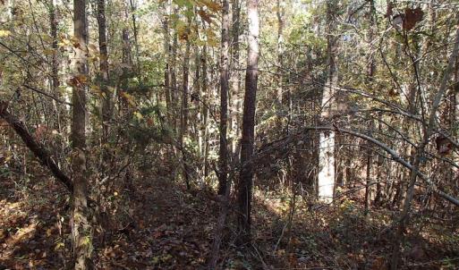 Photo of UNDER CONTRACT!  11.77 Acres of Water Front Land For Sale in Nash County NC!