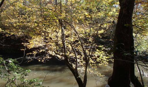 Photo of UNDER CONTRACT!  11.77 Acres of Water Front Land For Sale in Nash County NC!