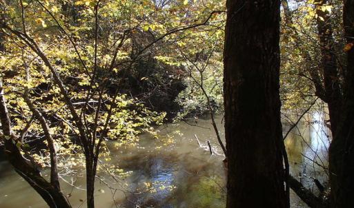 Photo of UNDER CONTRACT!  11.77 Acres of Water Front Land For Sale in Nash County NC!