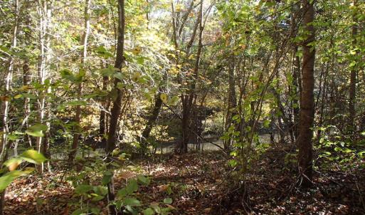 Photo of UNDER CONTRACT!  11.77 Acres of Water Front Land For Sale in Nash County NC!
