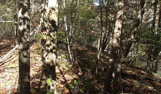 Photo of UNDER CONTRACT!  11.77 Acres of Water Front Land For Sale in Nash County NC!
