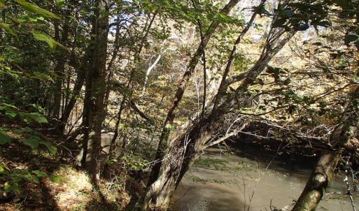Photo of UNDER CONTRACT!  11.77 Acres of Water Front Land For Sale in Nash County NC!