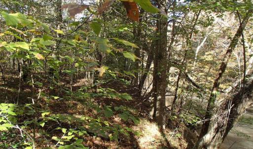 Photo of UNDER CONTRACT!  11.77 Acres of Water Front Land For Sale in Nash County NC!
