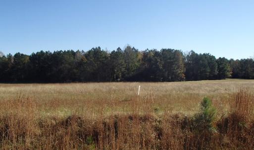 Photo of UNDER CONTRACT!  11.77 Acres of Water Front Land For Sale in Nash County NC!