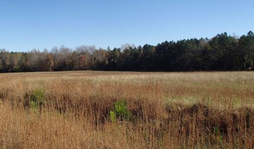 Photo of UNDER CONTRACT!  11.77 Acres of Water Front Land For Sale in Nash County NC!