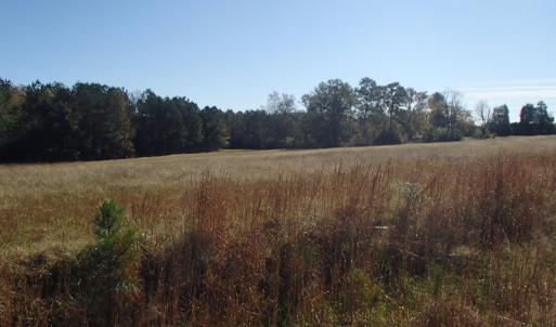 Photo of UNDER CONTRACT!  11.77 Acres of Water Front Land For Sale in Nash County NC!