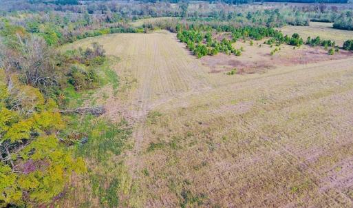 Photo of UNDER CONTRACT!  47 Acres of Residential Farm and Timber Land For Sale in Robeson County NC!