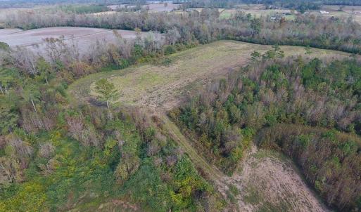 Photo of UNDER CONTRACT!  47 Acres of Residential Farm and Timber Land For Sale in Robeson County NC!