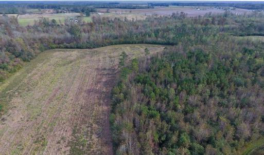 Photo of UNDER CONTRACT!  47 Acres of Residential Farm and Timber Land For Sale in Robeson County NC!