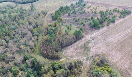 Photo of UNDER CONTRACT!  47 Acres of Residential Farm and Timber Land For Sale in Robeson County NC!