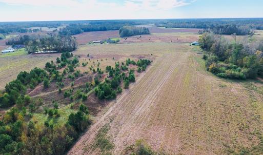 Photo of UNDER CONTRACT!  47 Acres of Residential Farm and Timber Land For Sale in Robeson County NC!