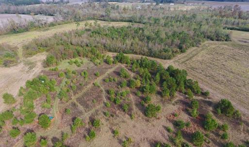 Photo of UNDER CONTRACT!  47 Acres of Residential Farm and Timber Land For Sale in Robeson County NC!