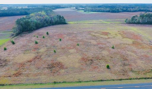 Photo of UNDER CONTRACT!  33 Acres of Farm and Pasture Land For Sale in Robeson County NC!