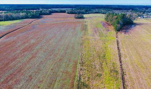Photo of UNDER CONTRACT!  33 Acres of Farm and Pasture Land For Sale in Robeson County NC!