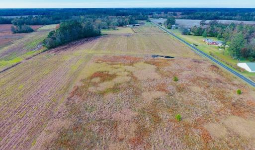 Photo of UNDER CONTRACT!  33 Acres of Farm and Pasture Land For Sale in Robeson County NC!