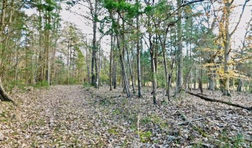 Photo of UNDER CONTRACT!  59 Acres of Hunting and Development Land for Sale in Person County NC!