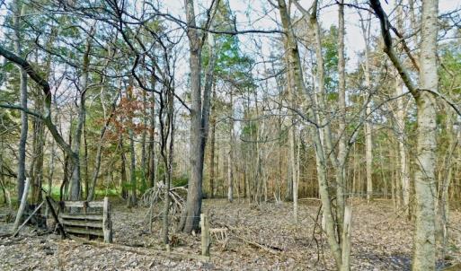 Photo of UNDER CONTRACT!  59 Acres of Hunting and Development Land for Sale in Person County NC!