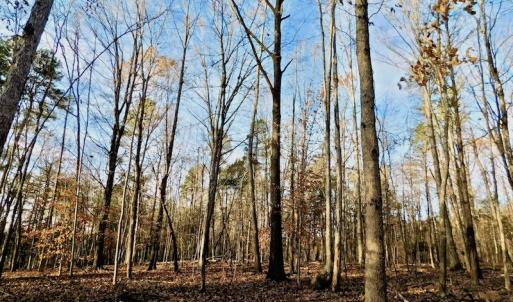 Photo of UNDER CONTRACT!  59 Acres of Hunting and Development Land for Sale in Person County NC!