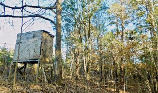 Photo of UNDER CONTRACT!  59 Acres of Hunting and Development Land for Sale in Person County NC!