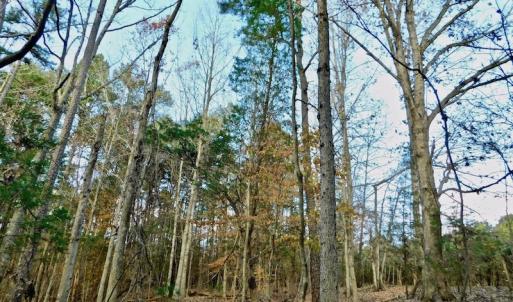Photo of UNDER CONTRACT!  59 Acres of Hunting and Development Land for Sale in Person County NC!