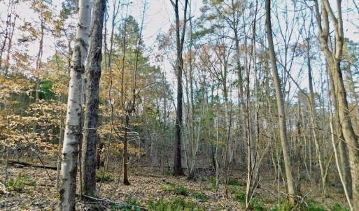 Photo of UNDER CONTRACT!  59 Acres of Hunting and Development Land for Sale in Person County NC!