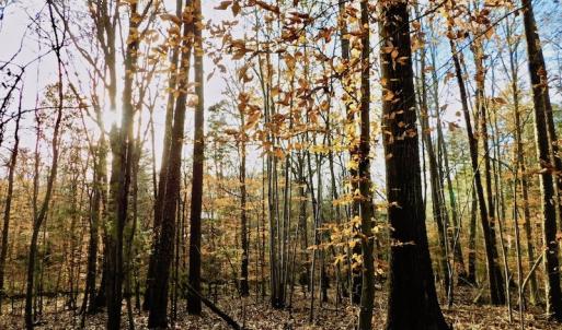 Photo of UNDER CONTRACT!  59 Acres of Hunting and Development Land for Sale in Person County NC!