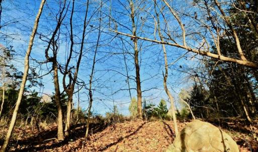 Photo of UNDER CONTRACT!  59 Acres of Hunting and Development Land for Sale in Person County NC!