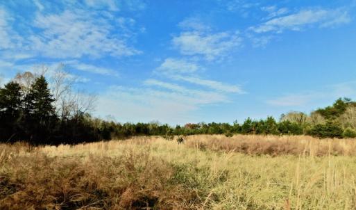 Photo of UNDER CONTRACT!  59 Acres of Hunting and Development Land for Sale in Person County NC!