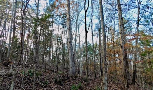 Photo of UNDER CONTRACT!  59 Acres of Hunting and Development Land for Sale in Person County NC!