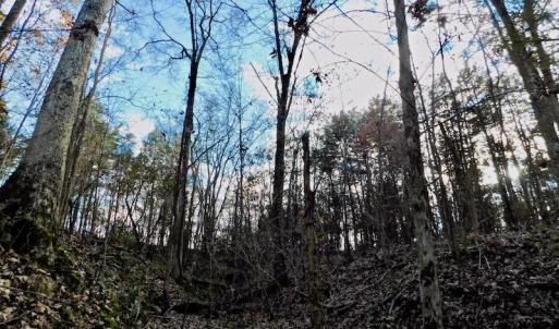 Photo of UNDER CONTRACT!  59 Acres of Hunting and Development Land for Sale in Person County NC!