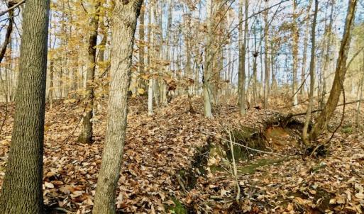 Photo of UNDER CONTRACT!  59 Acres of Hunting and Development Land for Sale in Person County NC!