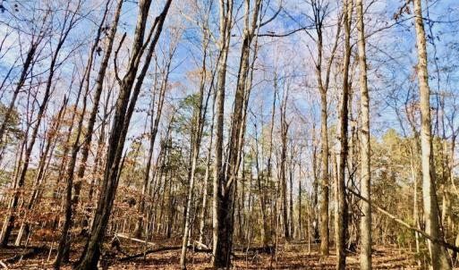 Photo of UNDER CONTRACT!  59 Acres of Hunting and Development Land for Sale in Person County NC!