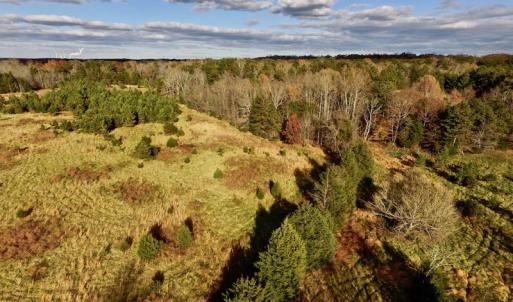 Photo of UNDER CONTRACT!  59 Acres of Hunting and Development Land for Sale in Person County NC!