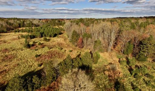 Photo of UNDER CONTRACT!  59 Acres of Hunting and Development Land for Sale in Person County NC!