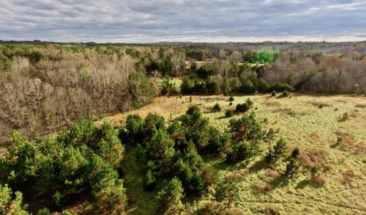 Photo of UNDER CONTRACT!  59 Acres of Hunting and Development Land for Sale in Person County NC!