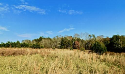 Photo of UNDER CONTRACT!  59 Acres of Hunting and Development Land for Sale in Person County NC!