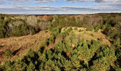 Photo of UNDER CONTRACT!  59 Acres of Hunting and Development Land for Sale in Person County NC!