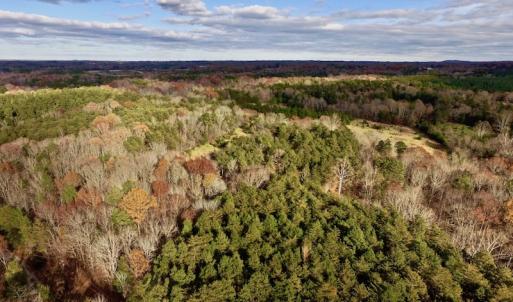 Photo of UNDER CONTRACT!  59 Acres of Hunting and Development Land for Sale in Person County NC!