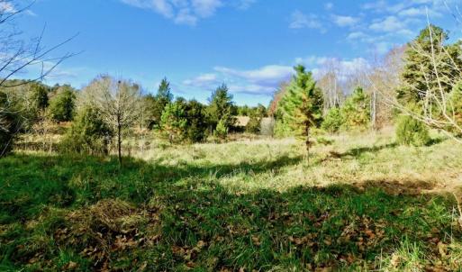 Photo of UNDER CONTRACT!  59 Acres of Hunting and Development Land for Sale in Person County NC!