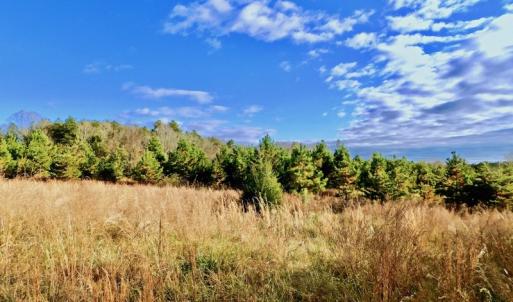 Photo of UNDER CONTRACT!  59 Acres of Hunting and Development Land for Sale in Person County NC!