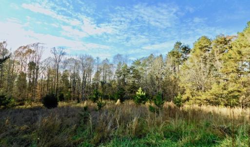 Photo of UNDER CONTRACT!  59 Acres of Hunting and Development Land for Sale in Person County NC!