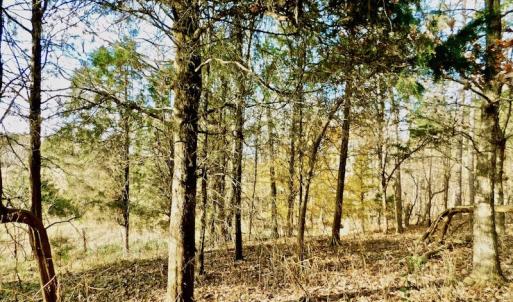 Photo of UNDER CONTRACT!  59 Acres of Hunting and Development Land for Sale in Person County NC!