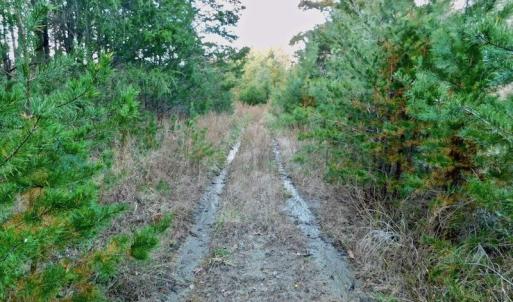 Photo of UNDER CONTRACT!  59 Acres of Hunting and Development Land for Sale in Person County NC!