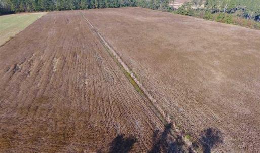 Photo of SOLD!!  17.6 Acres of Farm Land For Sale in Columbus County NC!
