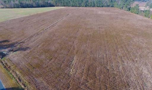 Photo of SOLD!!  17.6 Acres of Farm Land For Sale in Columbus County NC!