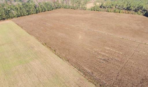 Photo of SOLD!!  17.6 Acres of Farm Land For Sale in Columbus County NC!