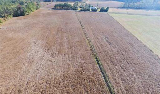 Photo of SOLD!!  17.6 Acres of Farm Land For Sale in Columbus County NC!